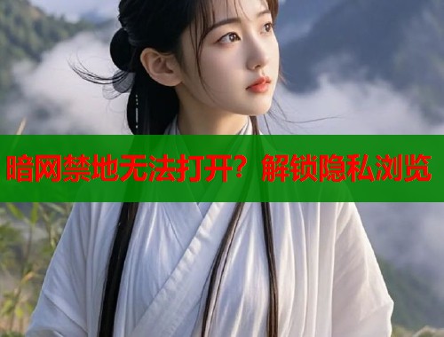 暗网禁地无法打开？解锁隐私浏览