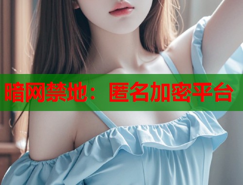 暗网禁地：匿名加密平台
