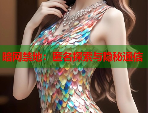 暗网禁地：匿名探索与隐秘通信