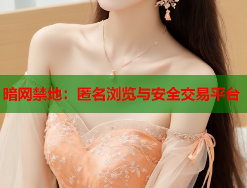 暗网禁地：匿名浏览与安全交易平台
