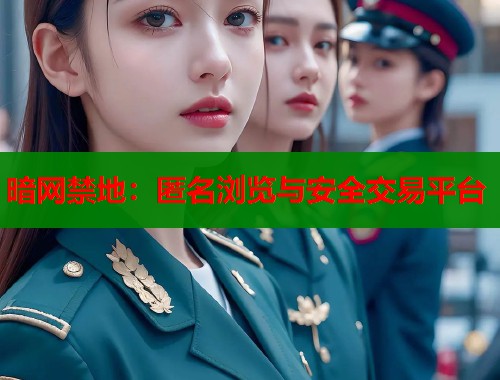 暗网禁地：匿名浏览与安全交易平台