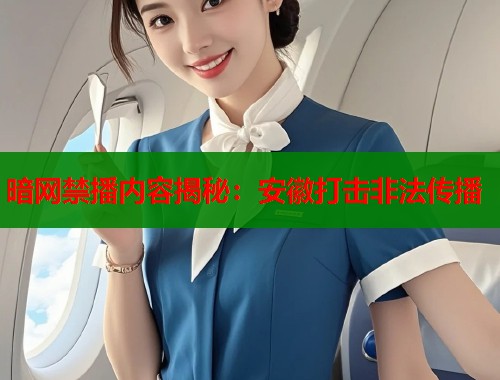 暗网禁播内容揭秘：安徽打击非法传播