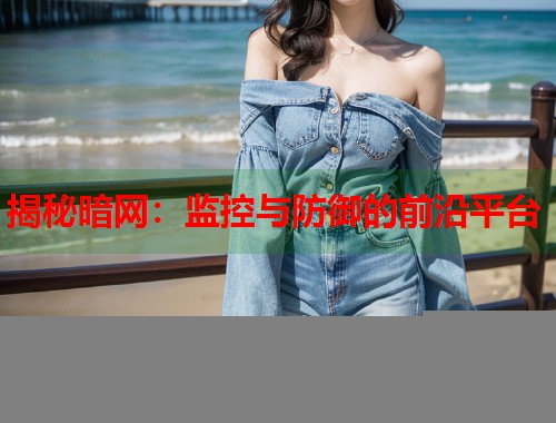 揭秘暗网：监控与防御的前沿平台