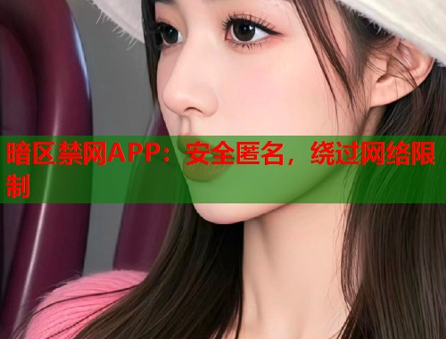 暗区禁网APP：安全匿名，绕过网络限制