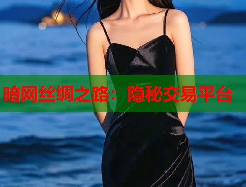 暗网丝绸之路：隐秘交易平台