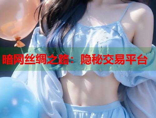 暗网丝绸之路：隐秘交易平台