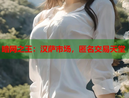 暗网之王：汉萨市场，匿名交易天堂