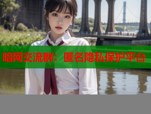 暗网交流群：匿名隐私保护平台