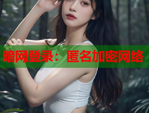 暗网登录：匿名加密网络