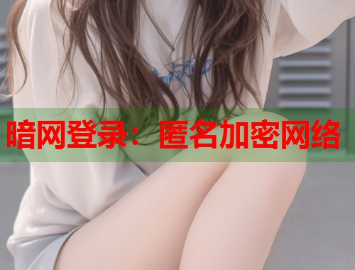 暗网登录：匿名加密网络