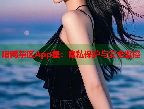 暗网禁区App星：隐私保护与安全监控