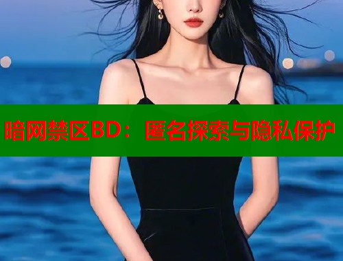 暗网禁区BD：匿名探索与隐私保护