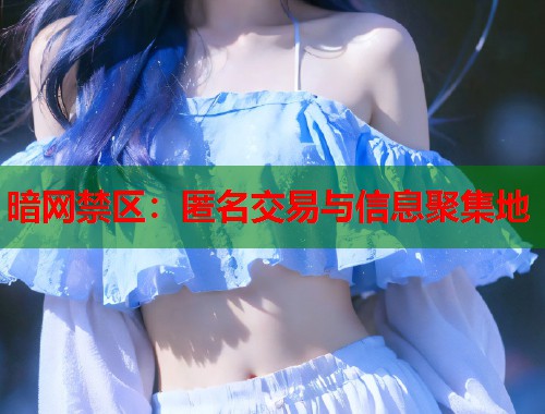 暗网禁区：匿名交易与信息聚集地