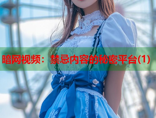 暗网视频：禁忌内容的秘密平台(1)