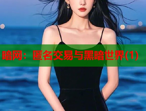 暗网：匿名交易与黑暗世界(1)
