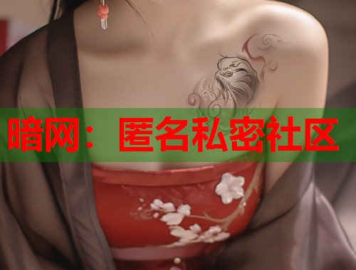 暗网：匿名私密社区