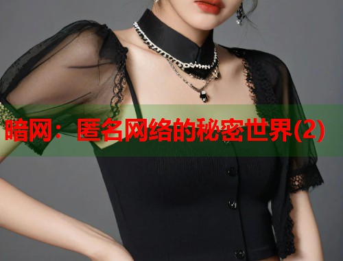 暗网：匿名网络的秘密世界(2)