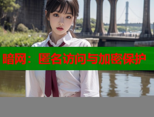 暗网：匿名访问与加密保护