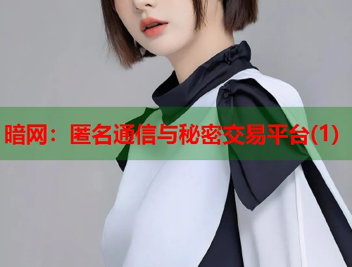 暗网：匿名通信与秘密交易平台(1)