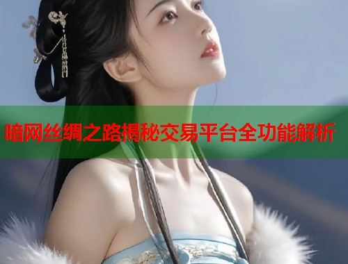 暗网丝绸之路揭秘交易平台全功能解析