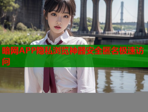 暗网APP隐私浏览神器安全匿名极速访问