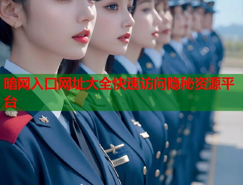 暗网入口网址大全快速访问隐秘资源平台