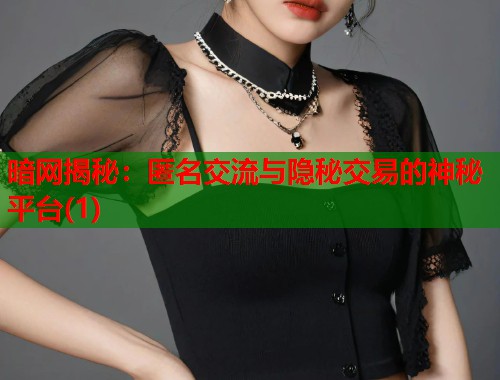 暗网揭秘：匿名交流与隐秘交易的神秘平台(1)