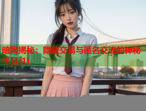 暗网揭秘：隐藏交易与匿名交流的神秘平台(1)