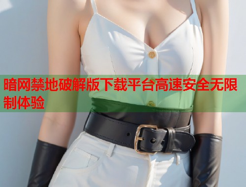 暗网禁地破解版下载平台高速安全无限制体验
