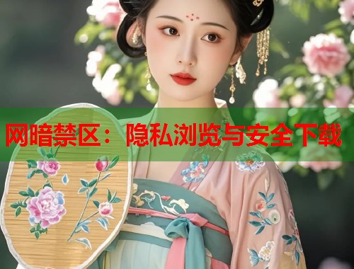 网暗禁区：隐私浏览与安全下载