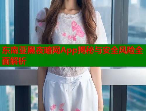 东南亚黑夜暗网App揭秘与安全风险全面解析