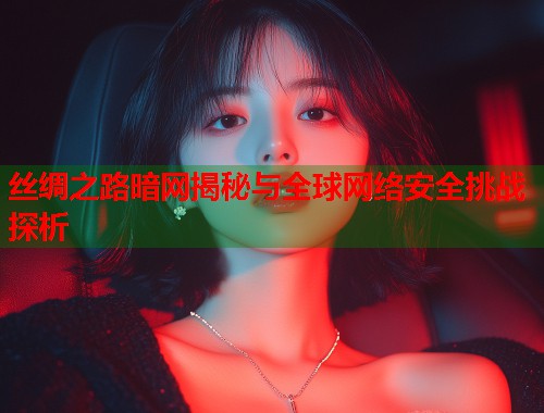 丝绸之路暗网揭秘与全球网络安全挑战探析