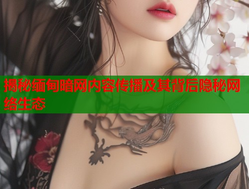揭秘缅甸暗网内容传播及其背后隐秘网络生态