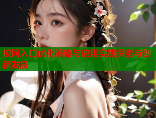 按网入口优化策略与应用实践探索与创新发展
