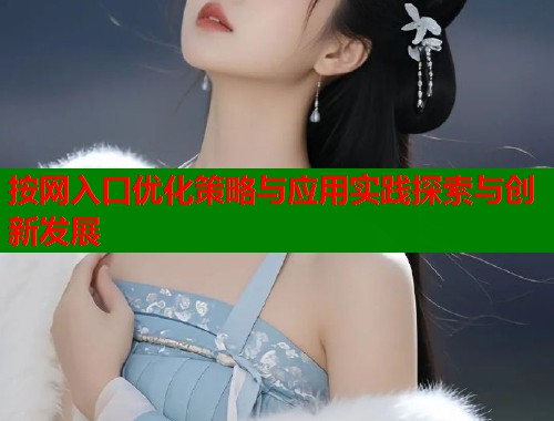 按网入口优化策略与应用实践探索与创新发展