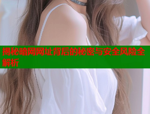 揭秘暗网网址背后的秘密与安全风险全解析