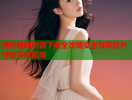 揭秘暗网资源下载全攻略安全与风险并存的深度指南