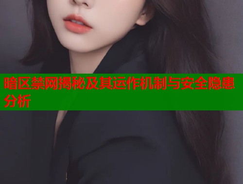 暗区禁网揭秘及其运作机制与安全隐患分析