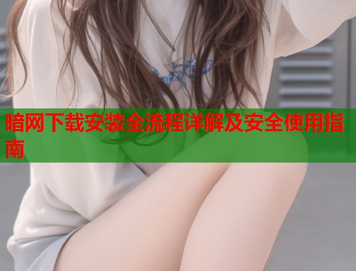 暗网下载安装全流程详解及安全使用指南