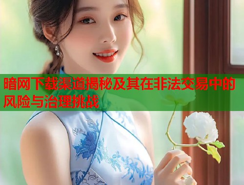 暗网下载渠道揭秘及其在非法交易中的风险与治理挑战