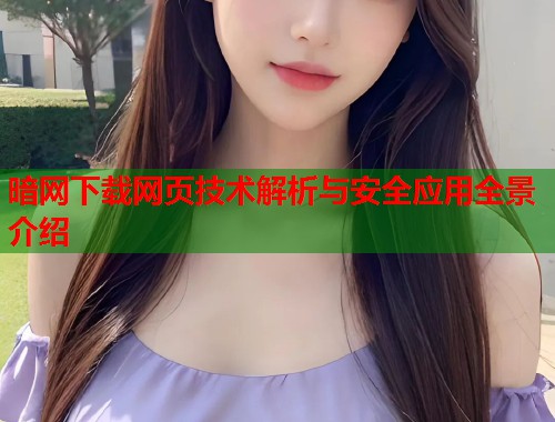 暗网下载网页技术解析与安全应用全景介绍