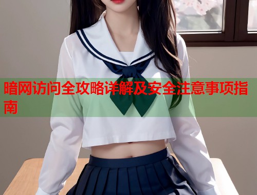 暗网访问全攻略详解及安全注意事项指南